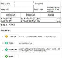 山东省电子税务局官方版 第3张图