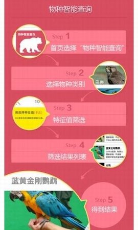 动物守护者 第1张图