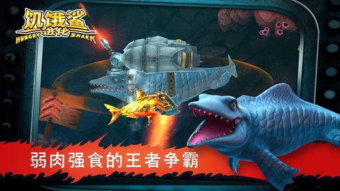 饥饿鲨进化 第1张图