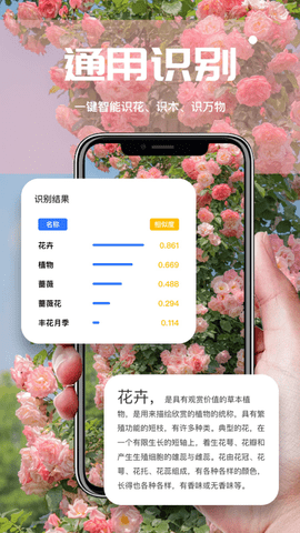 AI扫描君 第1张图