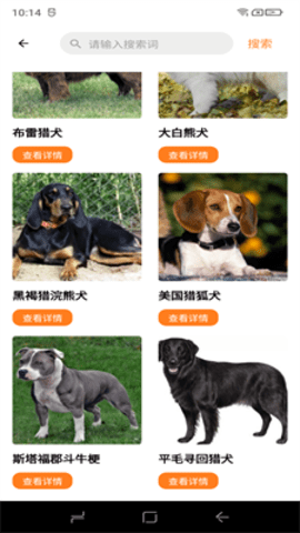 缘宠 第1张图